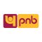 punjab national bank