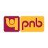 punjab national bank